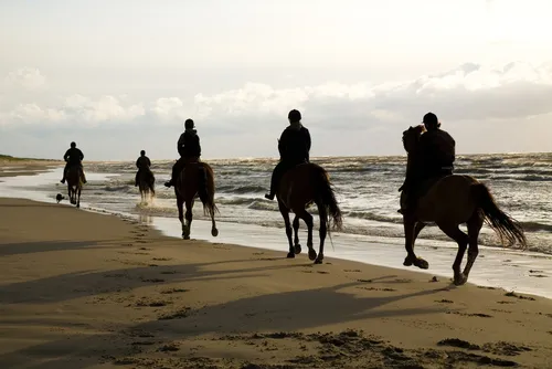 Balade en cheval pour votre EVG à Deauville | Enterrement de vie de garçon