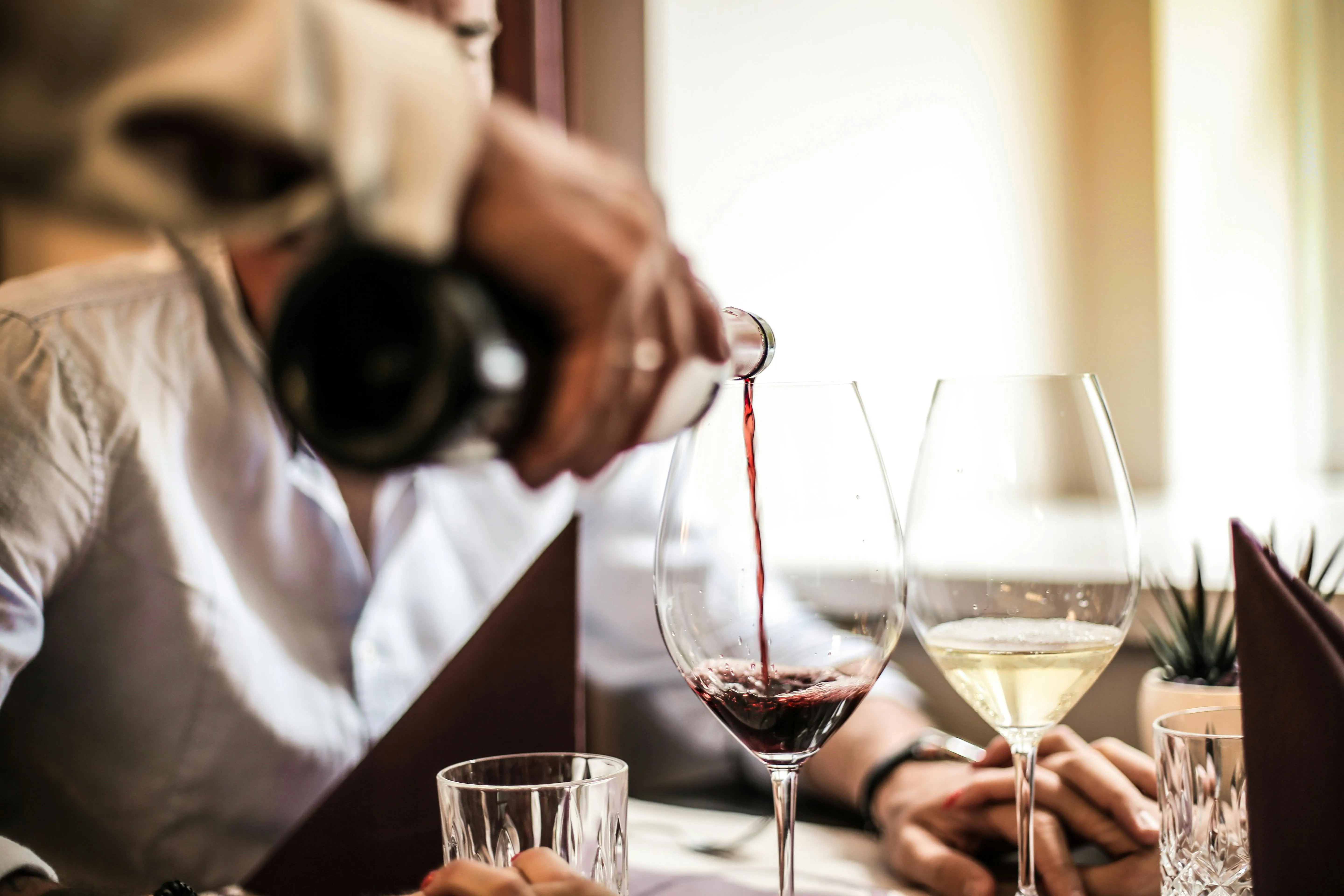 Dégustation de vin pour votre EVG à Bordeaux | Enterrement de vie de garçon